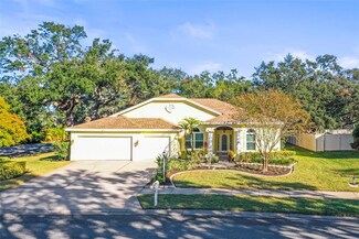641 Westfield Ct, Dunedin, FL 34698