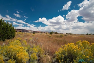 Lot 14 Calle Bonita Ct, Thoreau, NM 87323