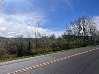 0 E Shore Dr, Ithaca, NY 14850