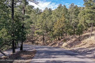 Lot 24 Lake Shore Dr, Alto, NM 88312