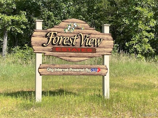 TBD Forest View Ct, Steelville, MO 65565