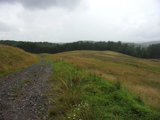 0 Everson Rd Unit 10160519, Buckhannon, WV 26201