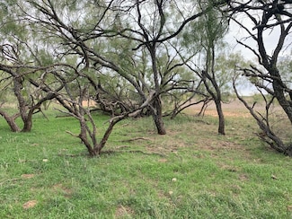 819 County Road 126, Trent, TX 79561