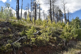 000 Soubry Place, Fort Garland, CO 81133