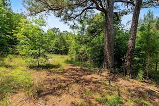 125 Crescent Dr, Winnsboro, SC 29180