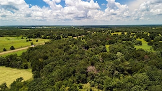 Tract 12 Farm To Market Road 1366, Wortham, TX 76693