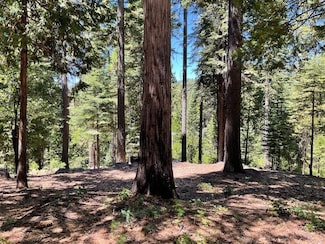 1619 Shoshone Dr, Dorrington, CA 95223