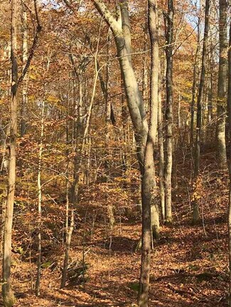 0 Heltsley Rd Unit 20183923, Lewisburg, KY 42256