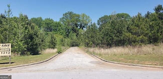 151 W Perennial Dr, Temple, GA 30179