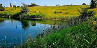 1041 Ward Way, Colville, WA 99114