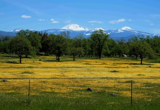 21675 Wildcat Rd, Paynes Creek, CA 96075