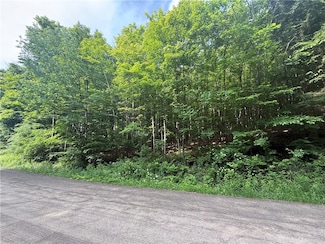 7420 Feather St, Naples, NY 14512