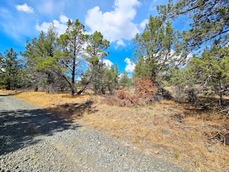 0 Canvasback Dr Unit 32 220207836, Bonanza, OR 97623