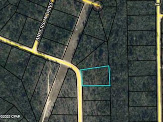 0000 Ocala Dr, Alford, FL 32420