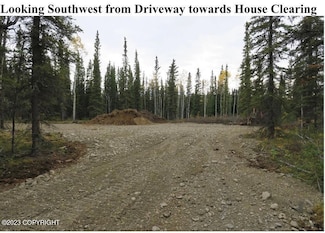 L10 B7 Wontorski Way, Tok, AK 99780