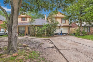 19714 Faye Oaks Ct, Humble, TX 77346