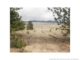 291 Lancelot Ln, Hartsel, CO 80449