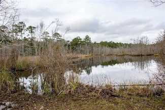 0 Dauphin Island Pkwy Unit 7594817, Coden, AL 36523