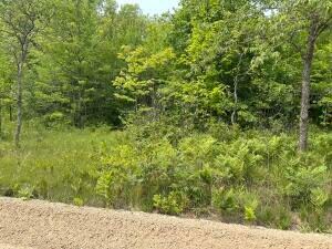 0 N Uppnorthe Dr, Frederic Township, MI 49733