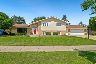14423 S Pine Grove Dr, Homer Glen, IL 60491