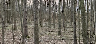 508 Cherry St, Blanchester, OH 45107