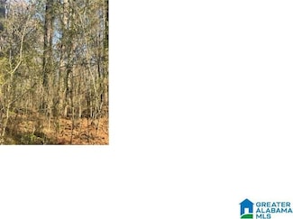 0 Aepean Way Unit 21433885, Alpine, AL 35014