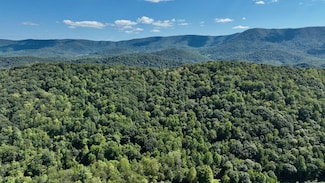 0 Possum Hollow Rd Unit 18129399, Oakvale, WV 24740