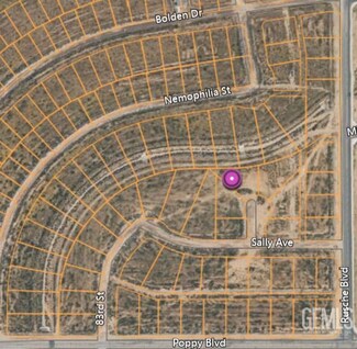0 Sally Unit 202412642, California City, CA 93505