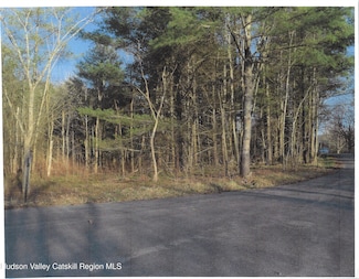 0 Maple Tree Aka W Main St, Stamford, NY 12167