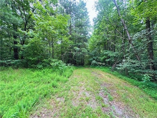 0 Old Post Trail Unit 7582552, Talking Rock, GA 30175