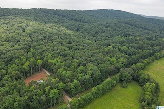 Lot 1 Alabama 25 Unit Lot 1, Columbiana, AL 35051