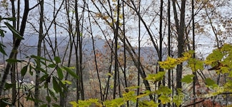 62 Turkey Hollow Ct, Waynesville, NC 28785