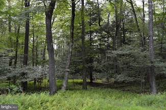 Lot 256 Azalea Ln, Terra Alta, WV 26764