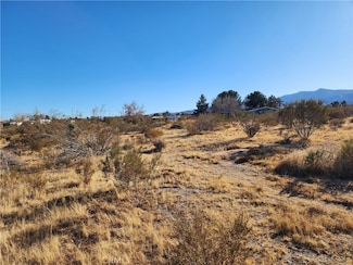 0 Duncan Rd Unit WS25076269, Phelan, CA 92371