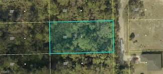 2203 Mcarthur Ave, Alva, FL 33920