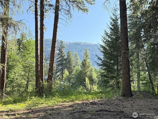 41 TBD Davelaar Dr, Mazama, WA 98833