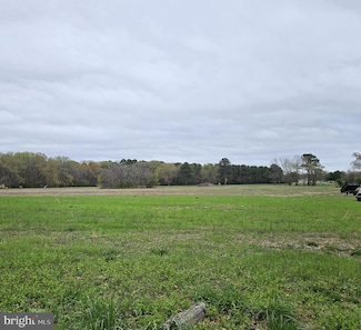 0 Foskey Ln Unit MDWC2017454, Delmar, MD 21875