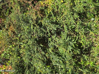 0 King Rd Unit 4107640, Helena, MS 39567