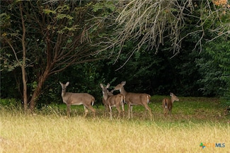 TBD Horseshoe Bend, Bruceville-Eddy, TX 76524