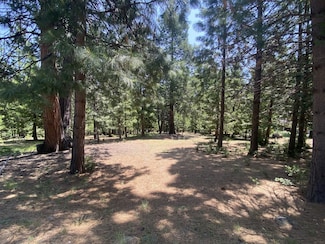 1018 Timber Ridge Rd, Lake Almanor Country Club, CA 96137