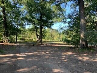 9919 S Poplar Ave, Newaygo, MI 49337