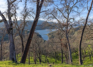 1123 Steele Canyon Rd, Napa, CA 94558