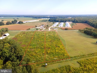 Lot 2 Blanchard Rd, Greenwood, DE 19950