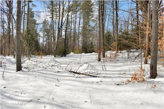L95 Highview Ln Unit Lot 11, Wevertown, NY 12886