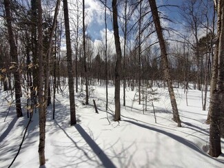 North 10 Acres Perch Lake Rd, Au Train Township, MI 49862