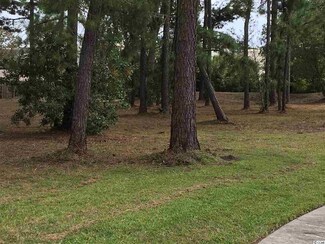 568 Walcott Dr, Myrtle Beach, SC 29579