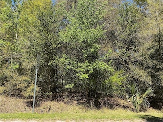 00 SE 139 Ln, Summerfield, FL 34491