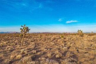 57016 Aberdeen Dr, Yucca Valley, CA 92284