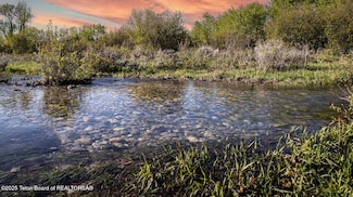 TBD N 1000 E, Driggs, ID 83422