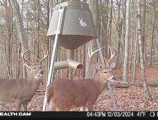 621 Co Rd 604, Hollytree, AL 35751